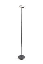 RYO-CRM-OXF-FLR (image 1).jpg
